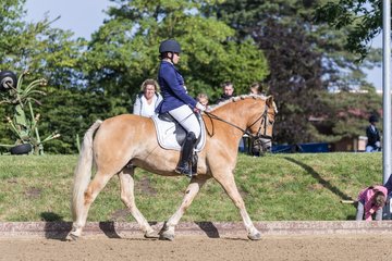 Bild 233 - Pony Akademie Turnier